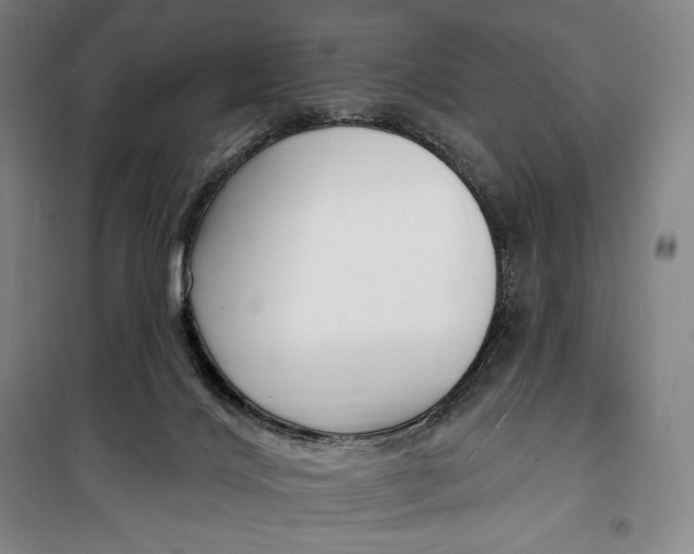 X0000099580028200806061637