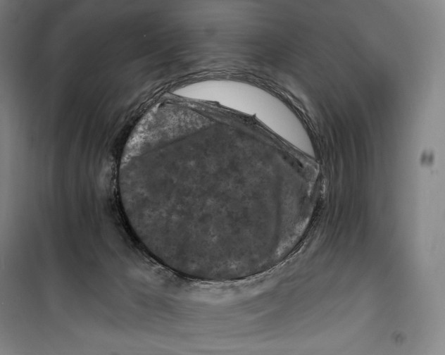 X0000099580029200806061637