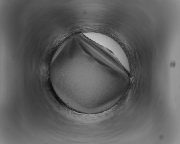 X0000099580031200806061637