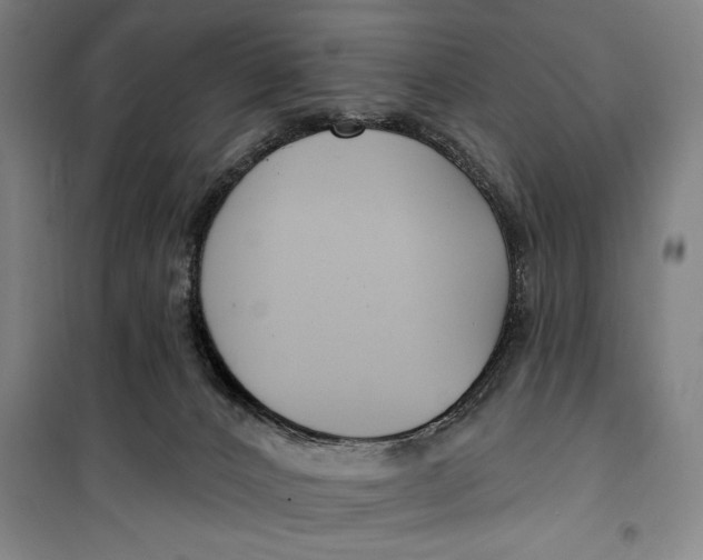 X0000099580032200806061637