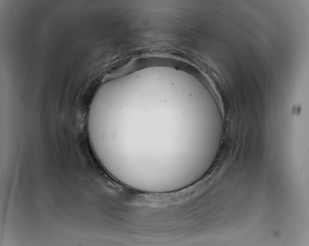 X0000099580033200806061637