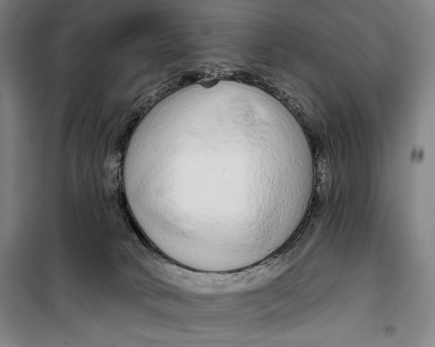 X0000099580034200806061637