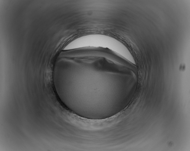 X0000099580035200806061637