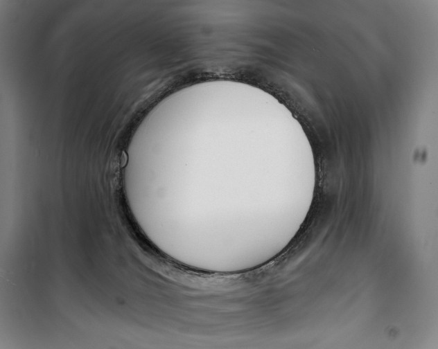 X0000099580036200806061637