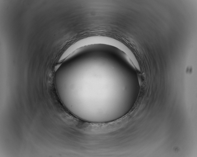 X0000099580037200806061637