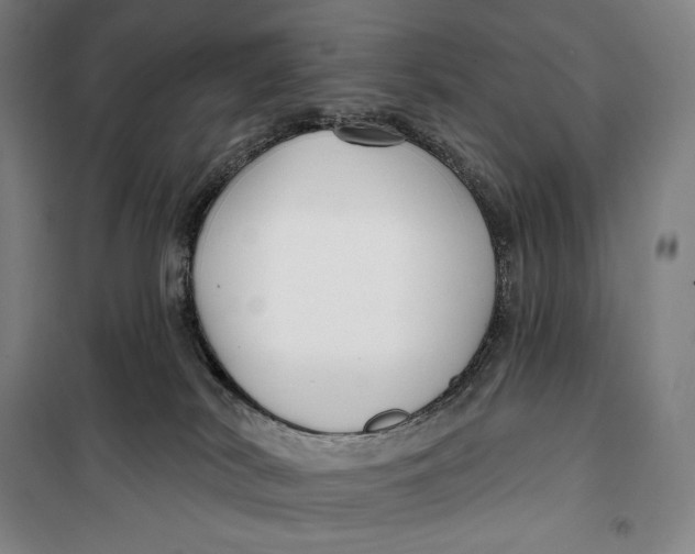 X0000099580038200806061637