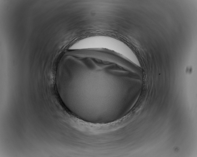 X0000099580039200806061637