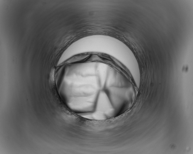 X0000099580041200806061637