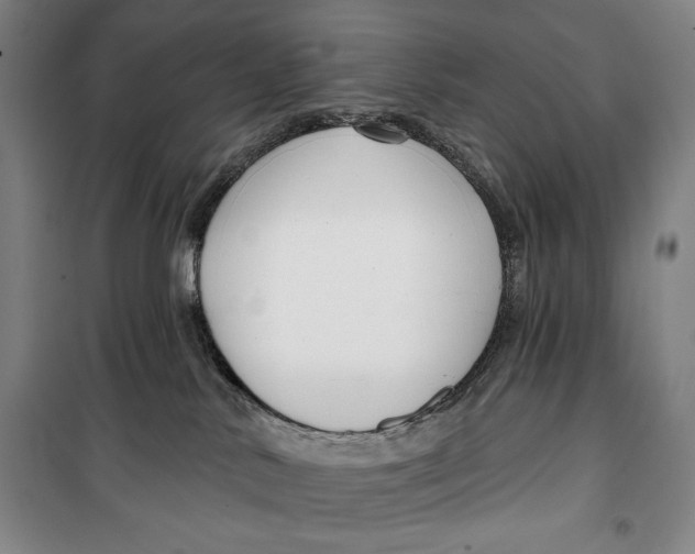 X0000099580042200806061637