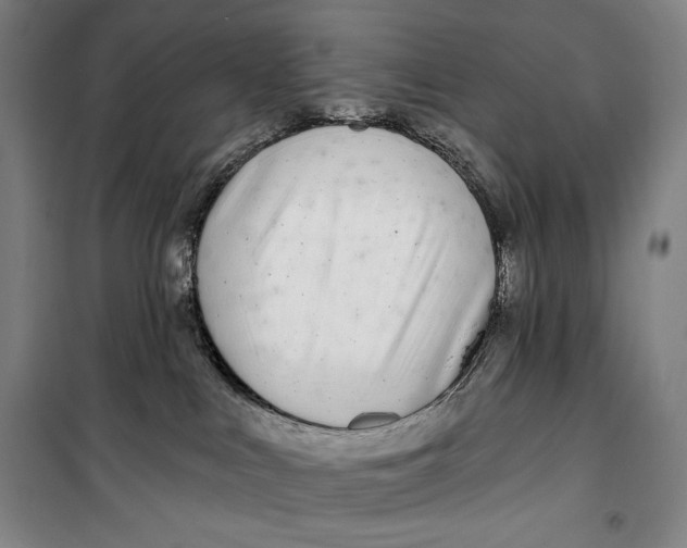 X0000099580043200806061637