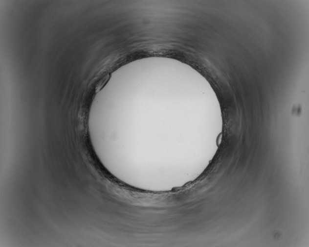 X0000099580044200806061637