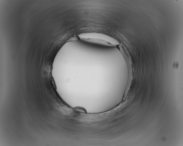 X0000099580045200806061637