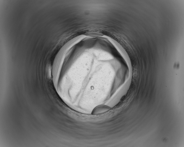 X0000099580046200806061637