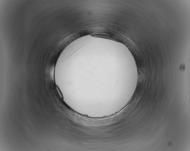 X0000099580047200806061637