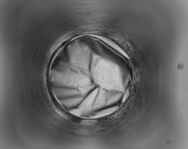 X0000099580051200806061636