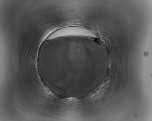 X0000099580052200806061636