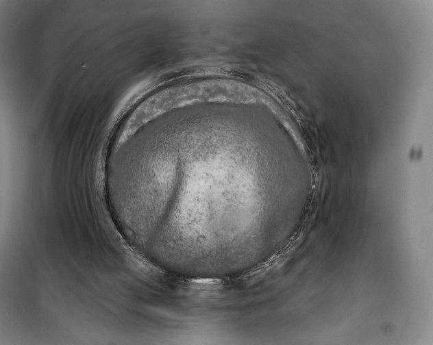 X0000099580053200806061636