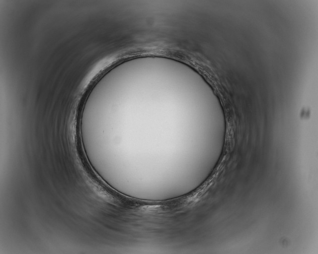 X0000099580054200806061636