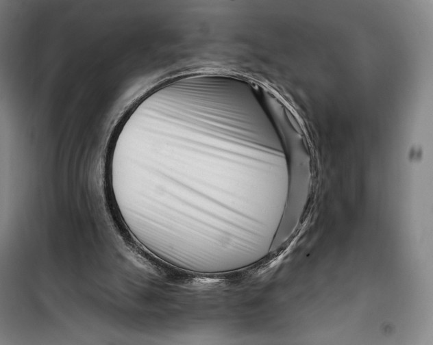 X0000099580055200806061636