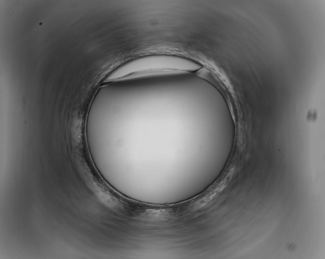 X0000099580057200806061636