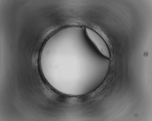 X0000099580058200806061636