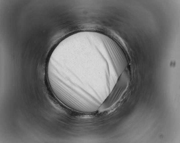 X0000099580059200806061636