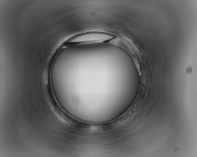 X0000099580060200806061636