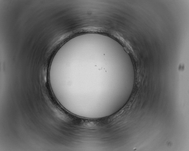 X0000099580062200806061636