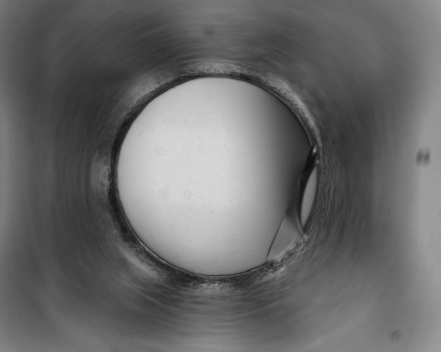 X0000099580063200806061636