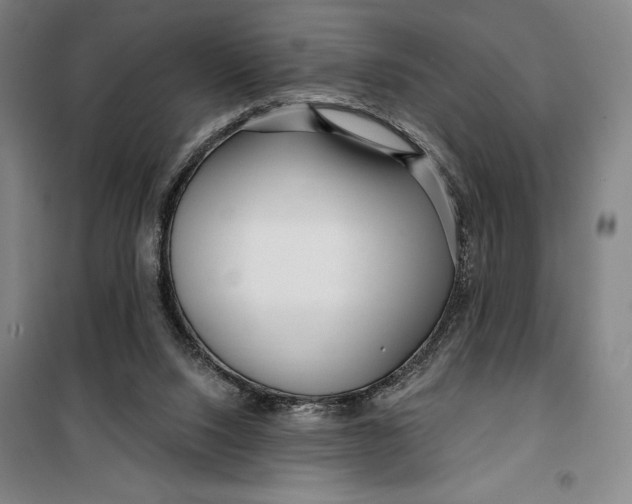 X0000099580064200806061636