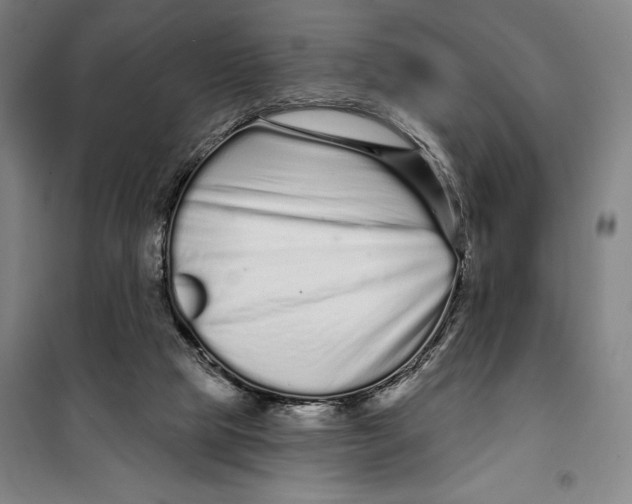 X0000099580065200806061636