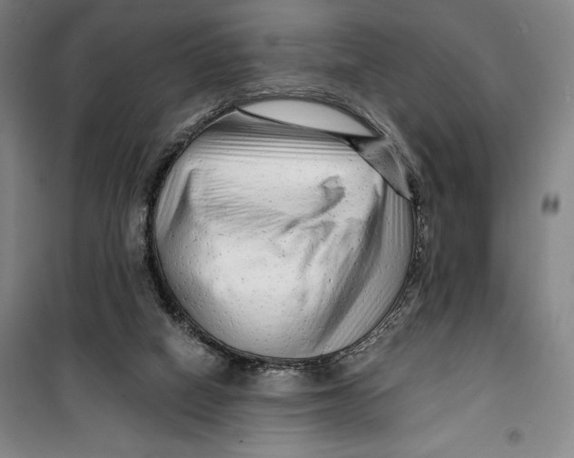 X0000099580066200806061636