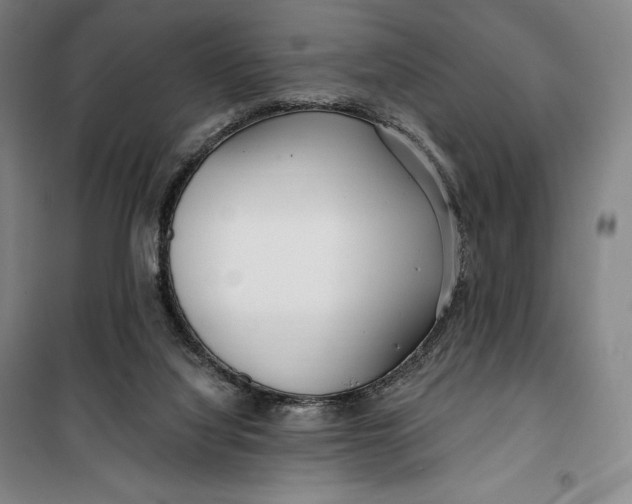 X0000099580068200806061636