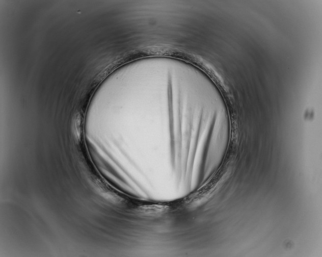 X0000099580069200806061636