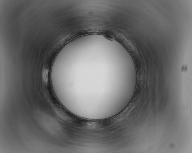 X0000099580070200806061636