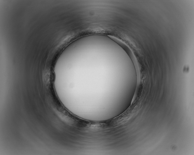 X0000099580072200806061636