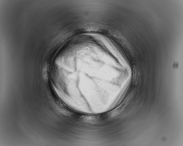 X0000099580074200806061637