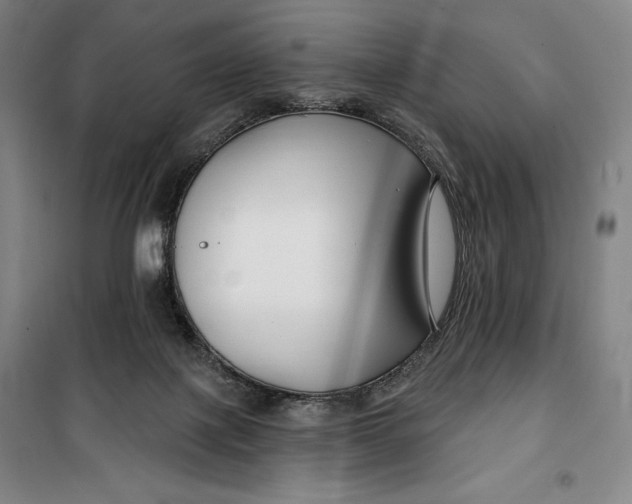 X0000099580075200806061637