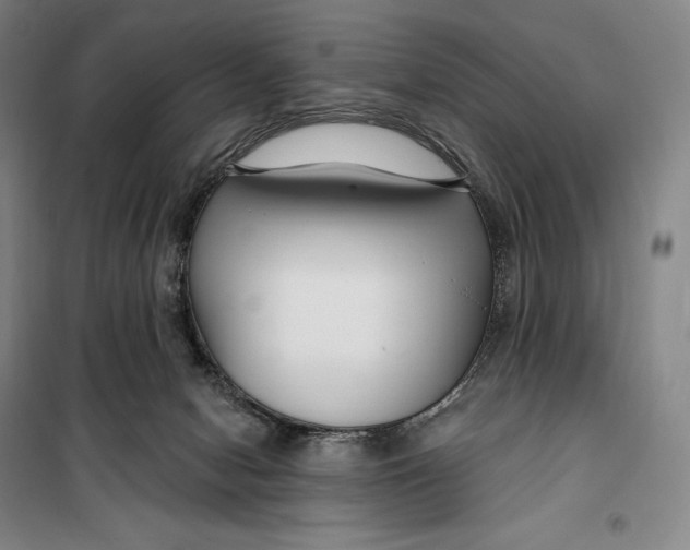 X0000099580078200806061637