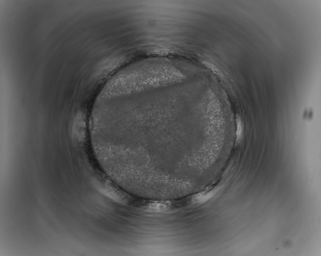 X0000099580080200806061637