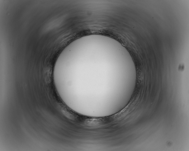 X0000099580082200806061637