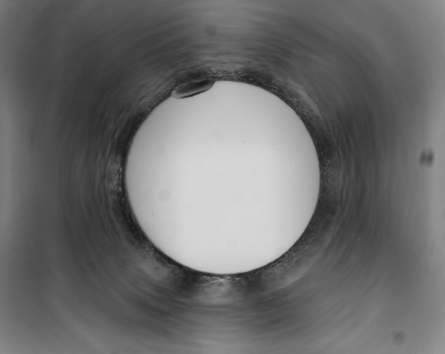 X0000099580083200806061637