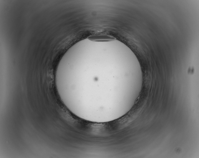 X0000099580085200806061637