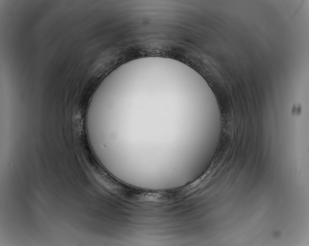 X0000099580086200806061637