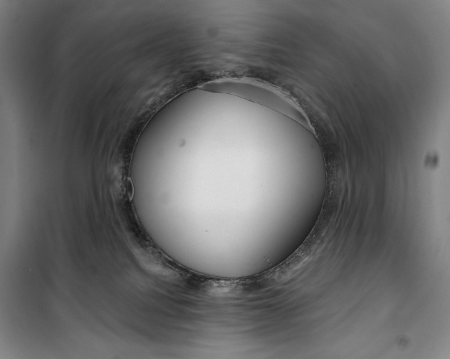 X0000099580088200806061637