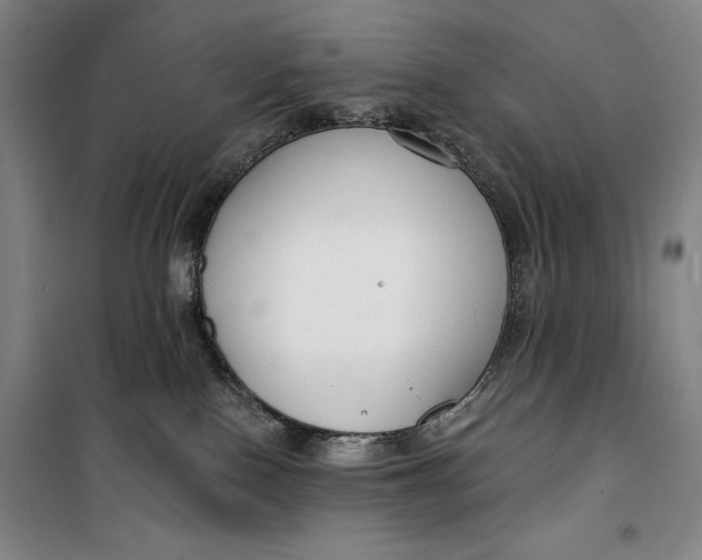 X0000099580090200806061637