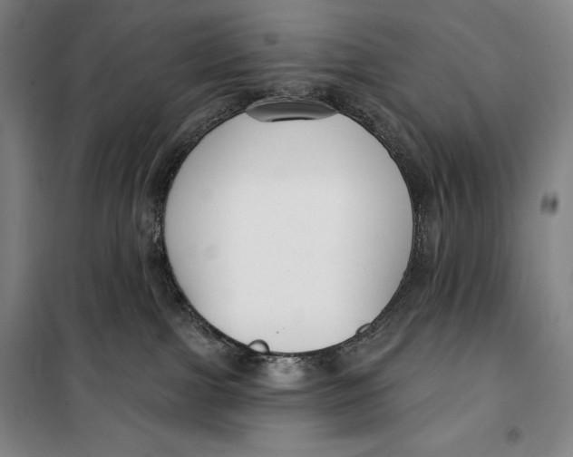 X0000099580091200806061637