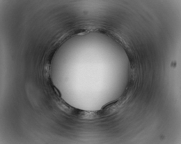 X0000099580093200806061637