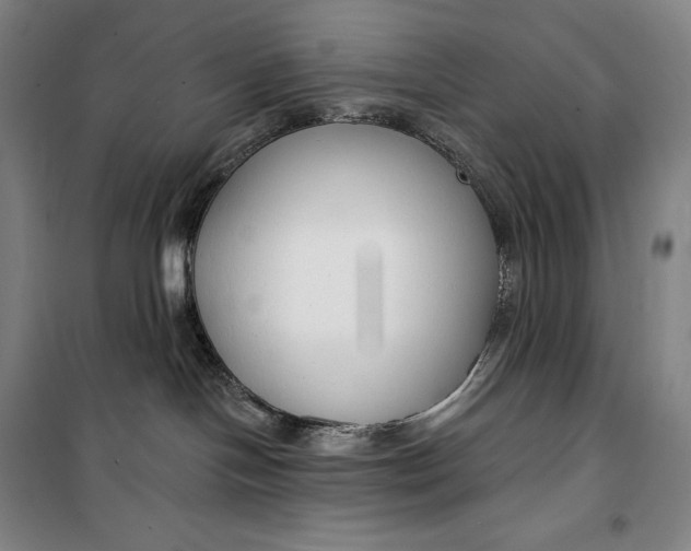 X0000099580094200806061637