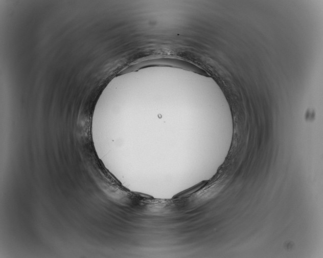 X0000099580096200806061637